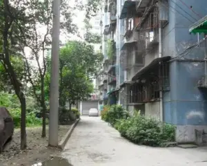 东环路三巷16号 3室1厅 南 北