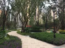 大3房洋房,带120平屋顶花园,看光环,视野好。