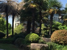 湖畔佳苑大独栋,占地764平,精装现代简约风格,满五V一诚售