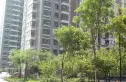 紫郡观澜实景图