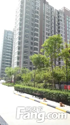 紫郡观澜实景图