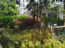 五层宽敞小区,交通便利,配套齐全