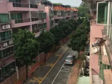 康湖大三房,位置靓近大门,保养好!