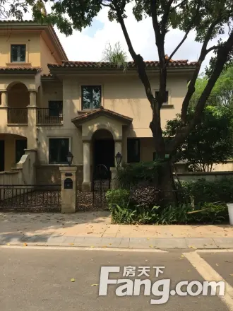 万科松山湖1号一期别墅实景图