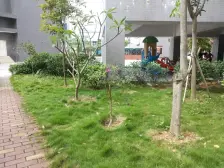 蓝山郡 2房2厅 带平台 满五唯一