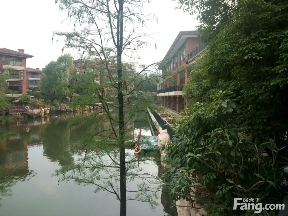 实景图