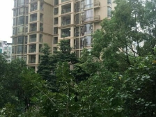 国际公馆三期独梯独户大平层5大房