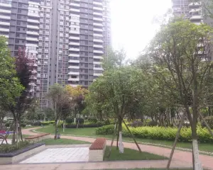 交大万嘉樟菊园 2室1厅 东南 西南