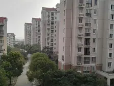 全南两房,楼层好。采光视野棒,诚意出售