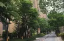 庭院深深实景图