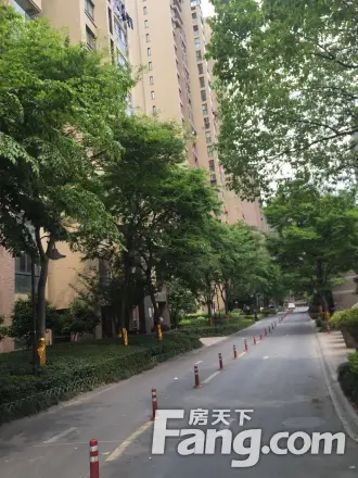 庭院深深实景图