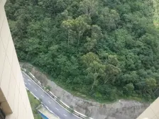 金地湖山大境三期 四房两卫 高层看湖