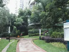 西江月 3室2厅 西南