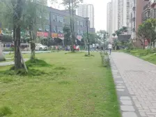 总价二十几万买大渡口主城区正规精装一室一厅