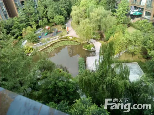 世纪滨江实景图