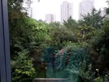 澳龙名城 3室1厅 西南