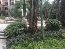 联泰棕榈庄园 4室2厅 东南