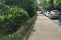长江委长顺园小区实景图