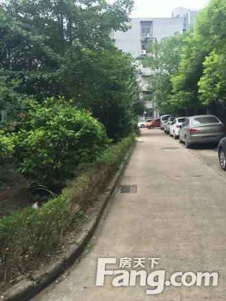 长江委长顺园小区实景图