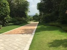 业主出售,视野采光良好适合居住