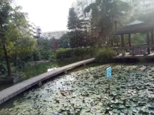 一碗水 金香林二房78万