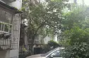 长江委长顺园小区实景图