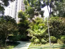 西区 泽科港城国际三房