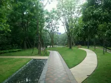 龙湖底跃洋房 安静位置带大花园 业主诚心出售